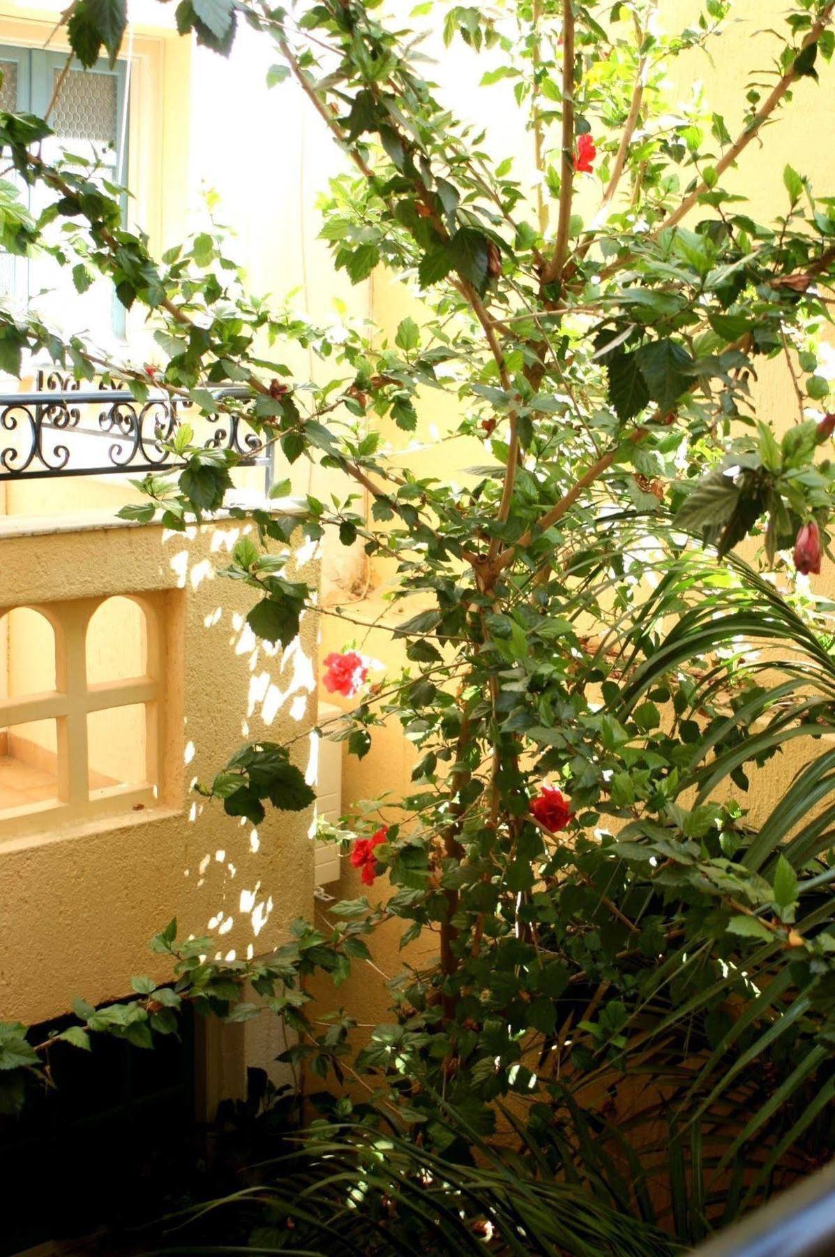 Orion Apartments Μάλια Εξωτερικό φωτογραφία